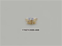 藏品(螟蛾66)的圖片